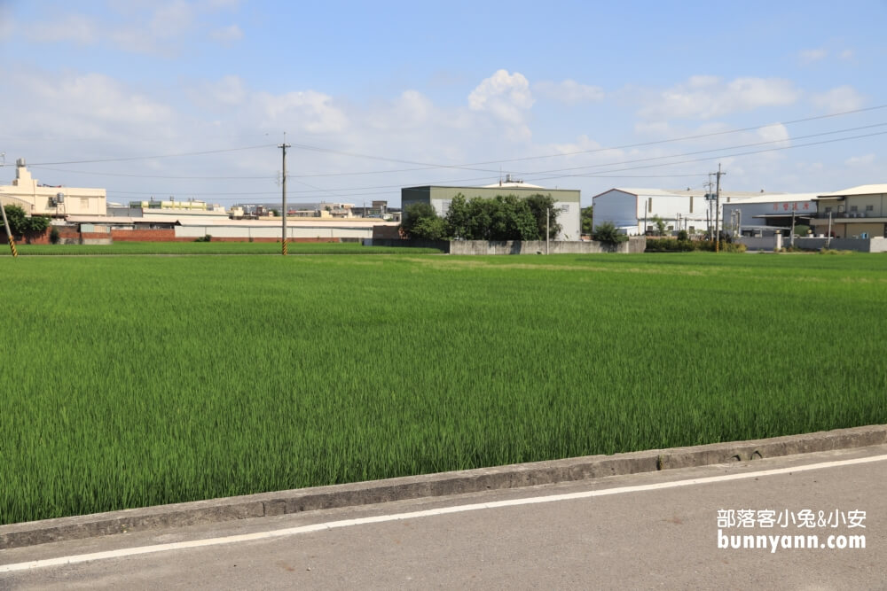 彰化景點》秀水龍騰公園，超高大金龍在這拍，賞綻放荷花，散步出遊好地方