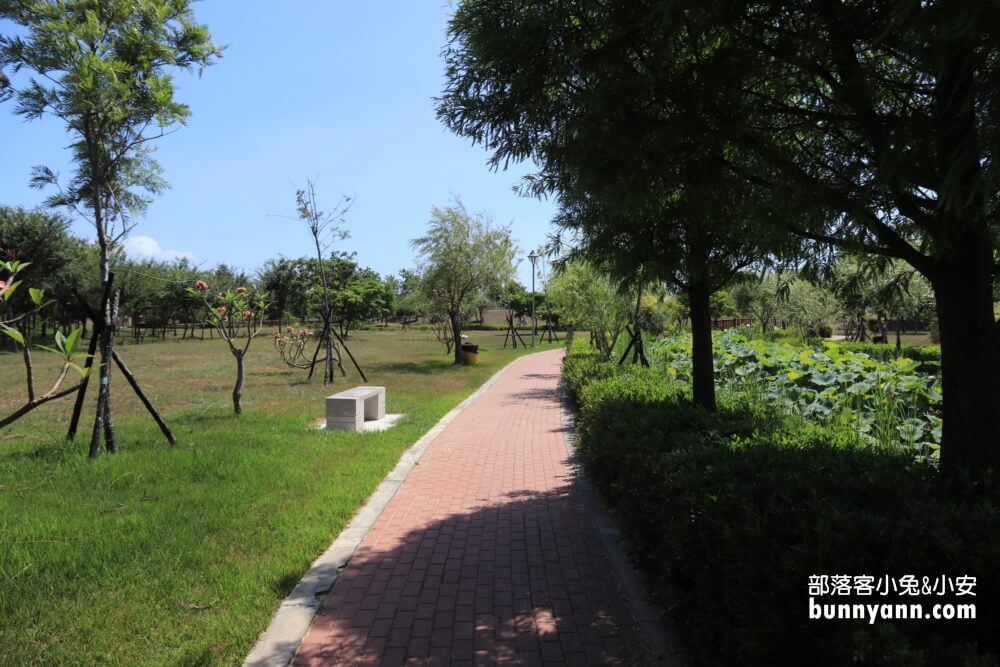 彰化景點》秀水龍騰公園，超高大金龍在這拍，賞綻放荷花，散步出遊好地方