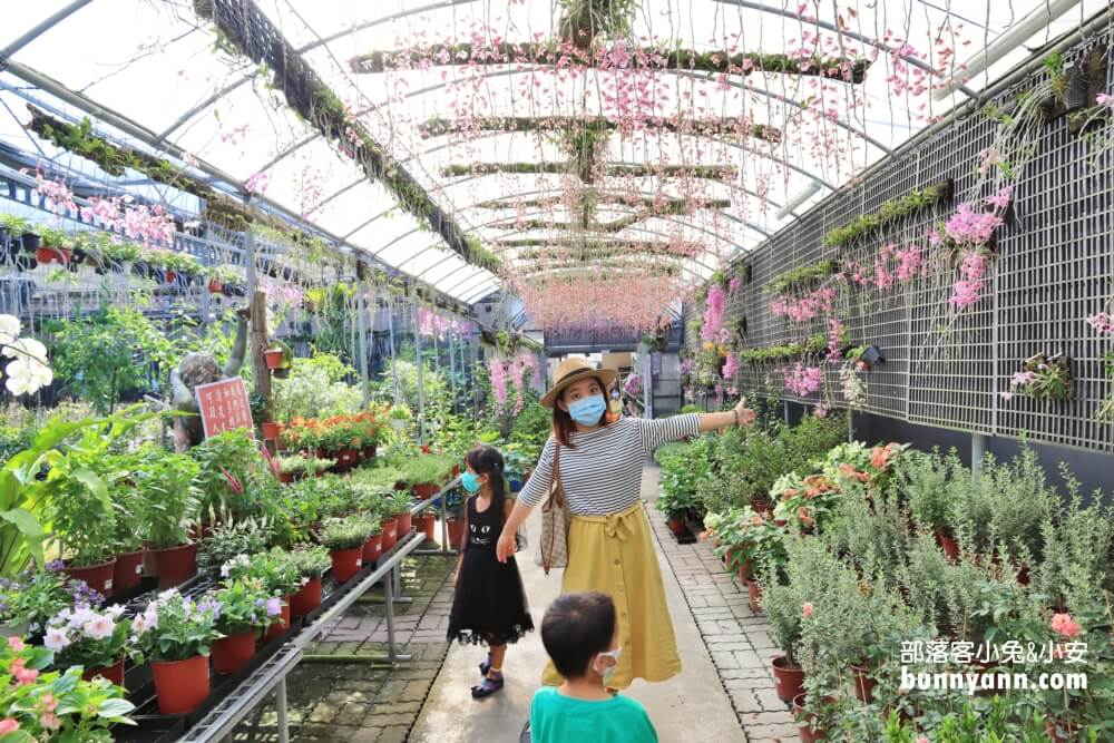 后里萌芳花卉農場，上萬株石斛蘭、蝴蝶蘭，免門票賞花地點