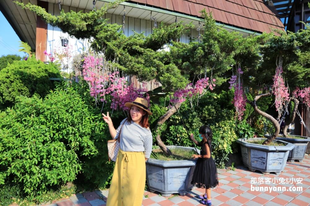 后里萌芳花卉農場，上萬株石斛蘭、蝴蝶蘭，免門票賞花地點