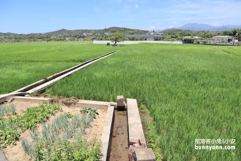 苗栗銅鑼龍貓土地公，綠稻田裡的療癒系田心伯公廟，看見會有好心情