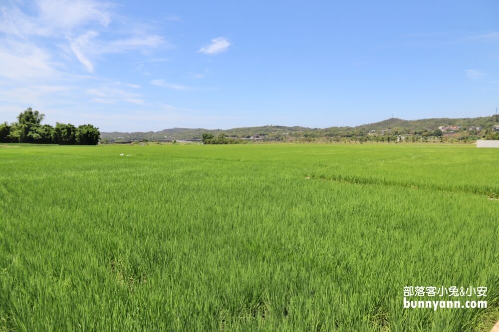 苗栗銅鑼龍貓土地公，綠稻田裡的療癒系田心伯公廟，看見會有好心情