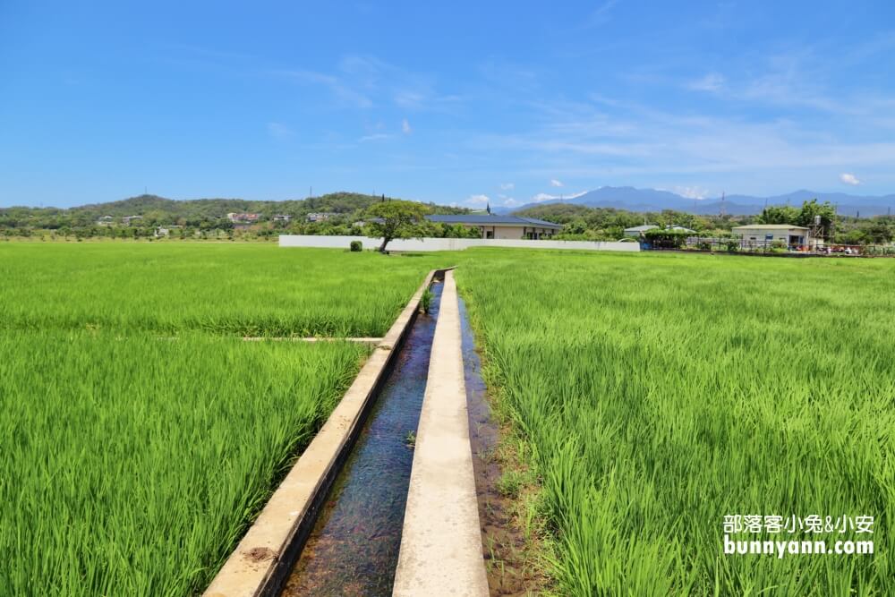 苗栗銅鑼龍貓土地公，綠稻田裡的療癒系田心伯公廟，看見會有好心情