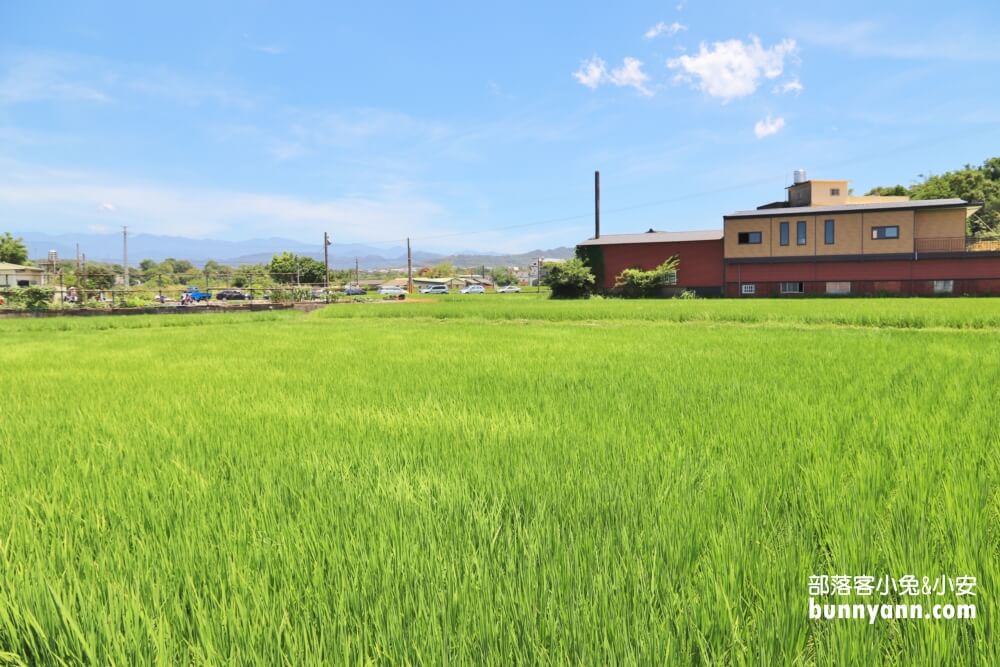 苗栗銅鑼龍貓土地公，綠稻田裡的療癒系田心伯公廟，看見會有好心情