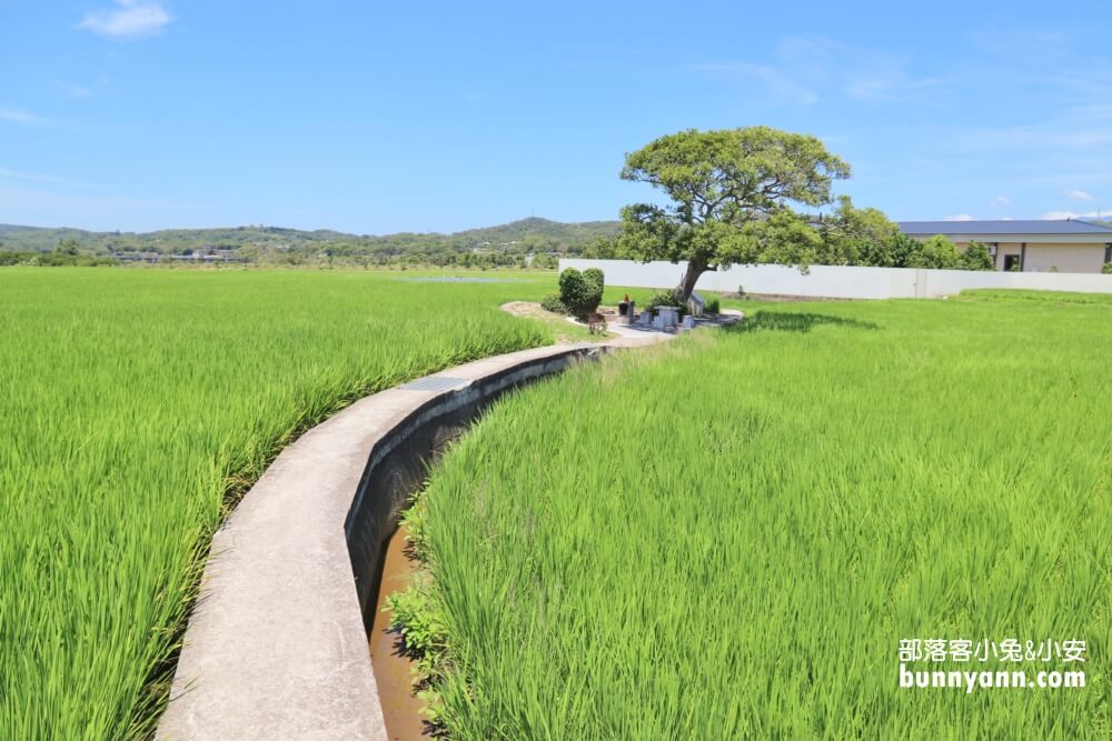苗栗銅鑼龍貓土地公，綠稻田裡的療癒系田心伯公廟，看見會有好心情