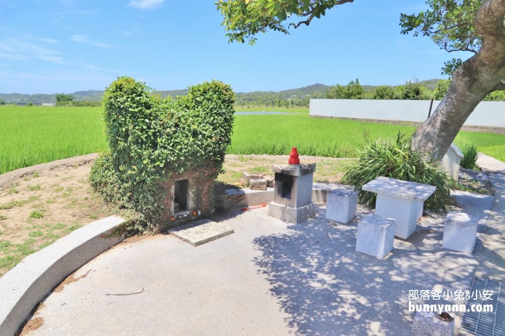 苗栗銅鑼龍貓土地公，綠稻田裡的療癒系田心伯公廟，看見會有好心情