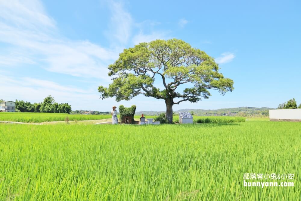 苗栗銅鑼龍貓土地公，綠稻田裡的療癒系田心伯公廟，看見會有好心情