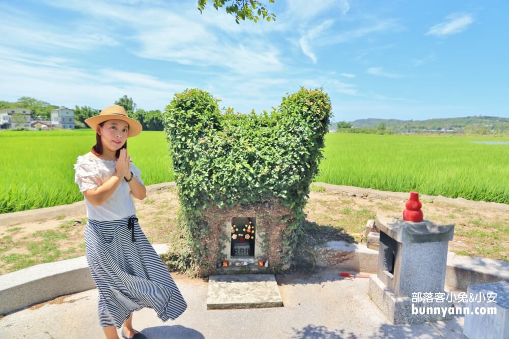 苗栗銅鑼龍貓土地公，綠稻田裡的療癒系田心伯公廟，看見會有好心情