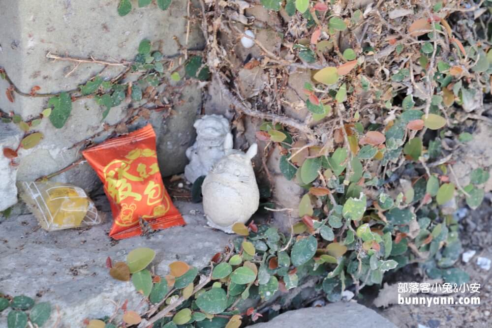 苗栗銅鑼龍貓土地公，綠稻田裡的療癒系田心伯公廟，看見會有好心情