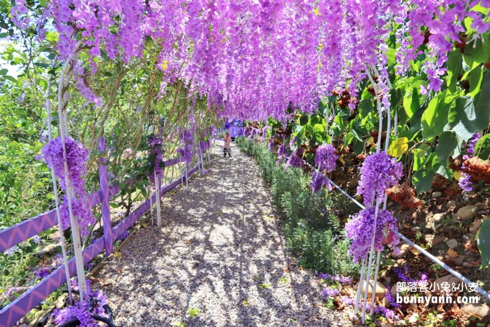 苗栗【噢哈娜咖啡屋】有許多美麗拍照場景的咖啡莊園