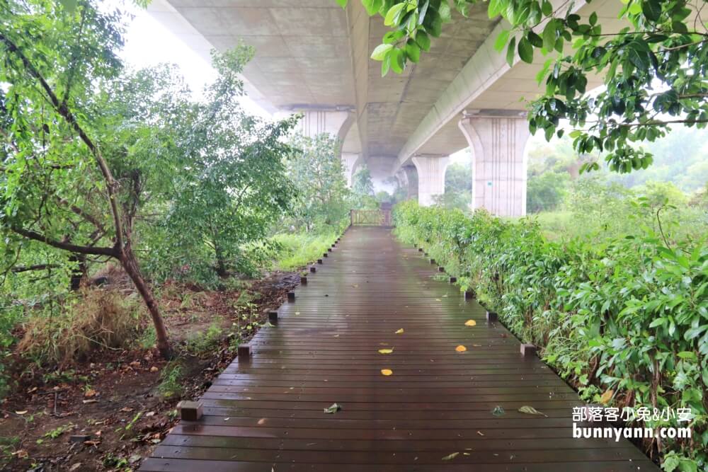 台中【沙鹿休閒景觀步道】來回一小時輕鬆走的地底小長城步道