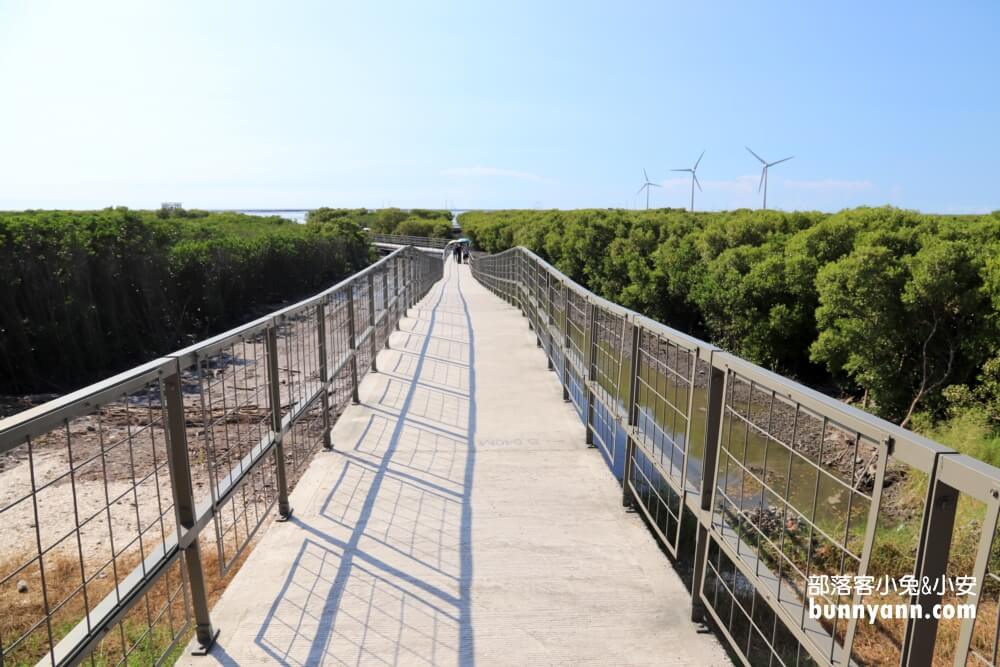 彰化芳苑海空步道，漫步紅樹林潮間帶，停車資訊分享