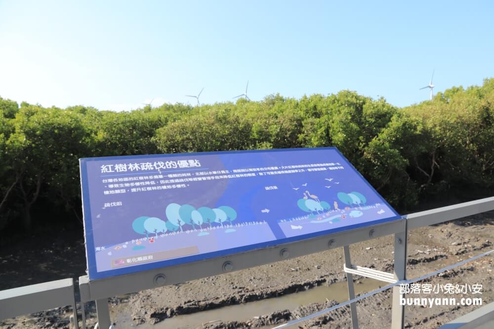彰化芳苑海空步道，漫步紅樹林潮間帶，停車資訊分享