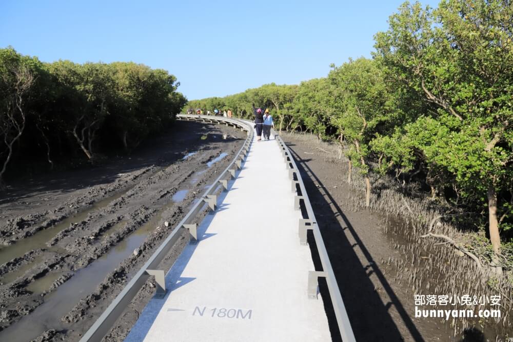 彰化芳苑海空步道，漫步紅樹林潮間帶，停車資訊分享
