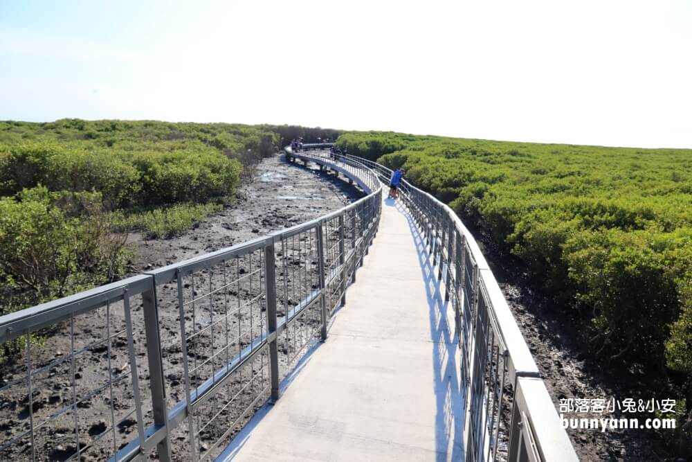 彰化芳苑海空步道，漫步紅樹林潮間帶，停車資訊分享