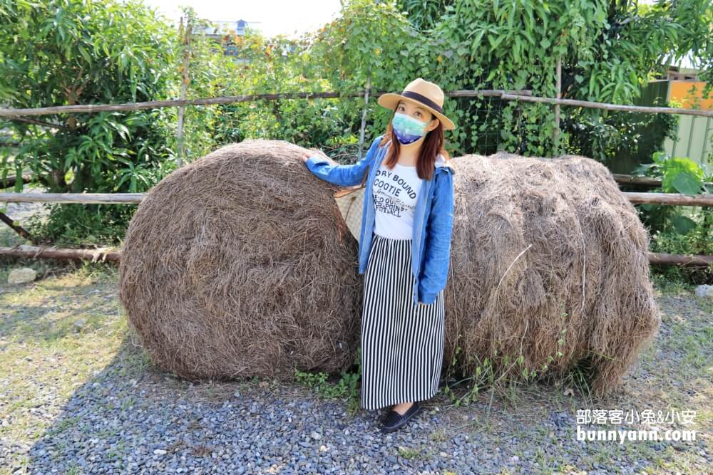 小琉球鹿粼梅花鹿園區，小鹿斑比包圍你，門票資訊整理!