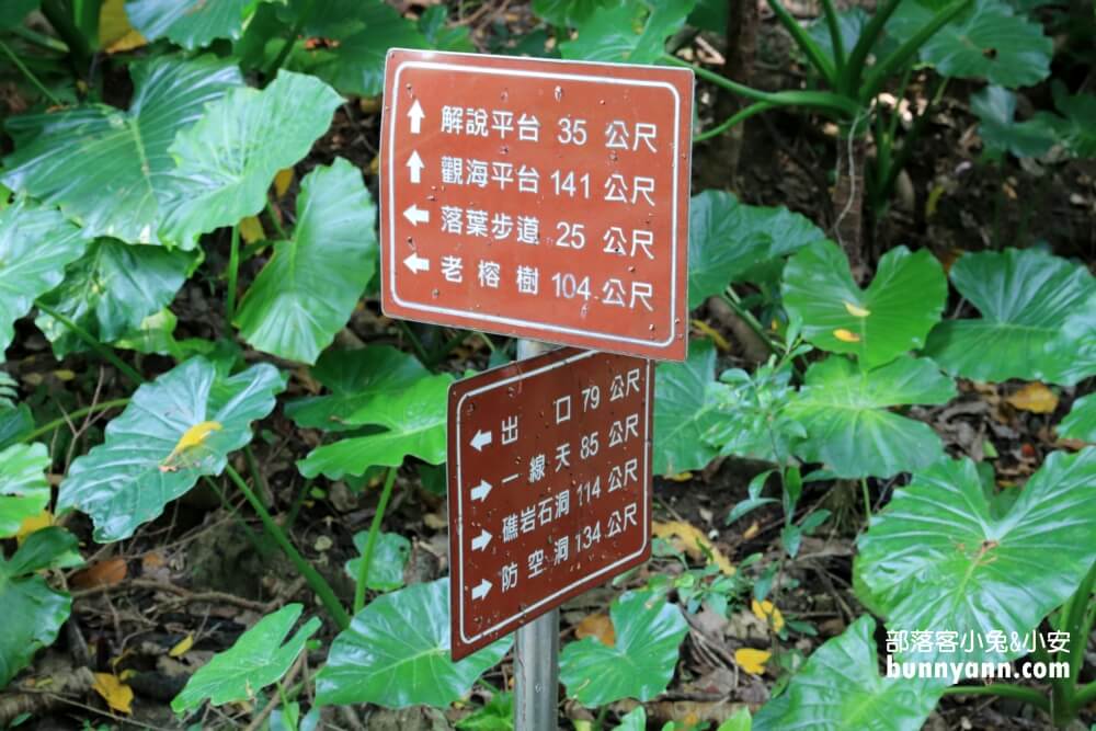 小琉球【山豬溝生態步道】搭配杉福生態廊道一起玩最充實