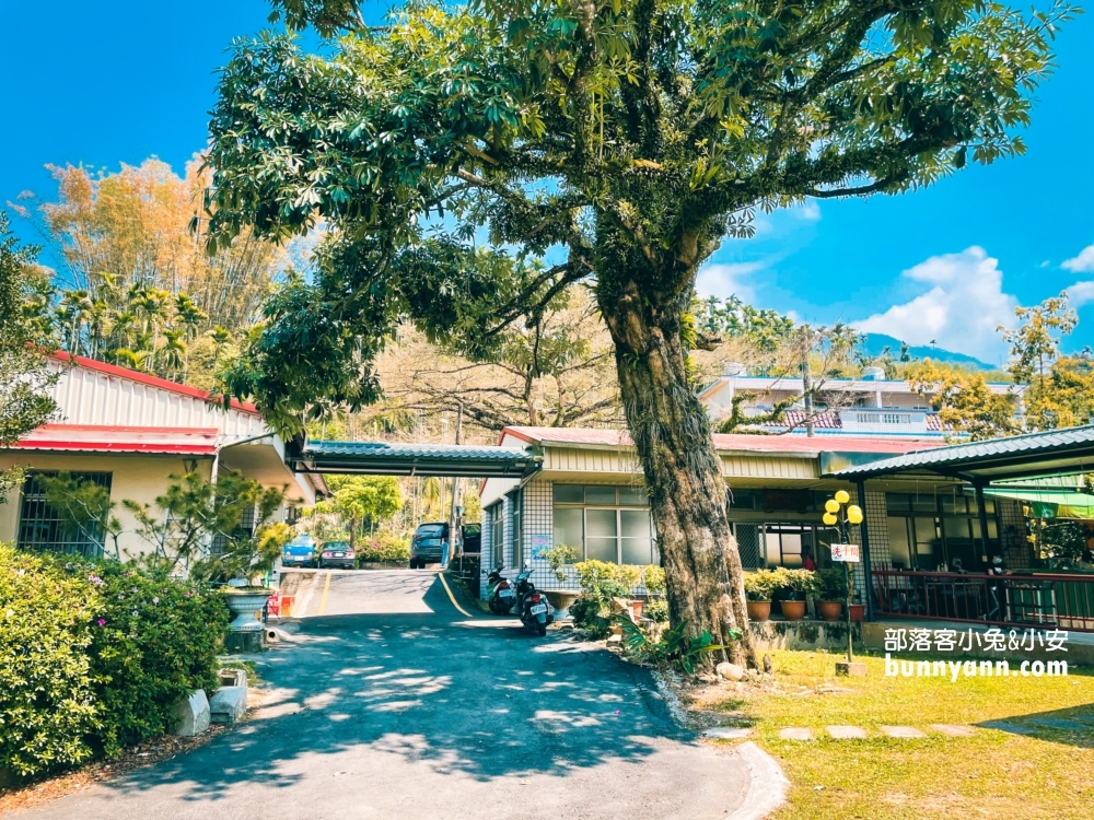 竹崎鄉【嘉義觀音瀑布】來回兩小時的私房山谷瀑布與吊橋