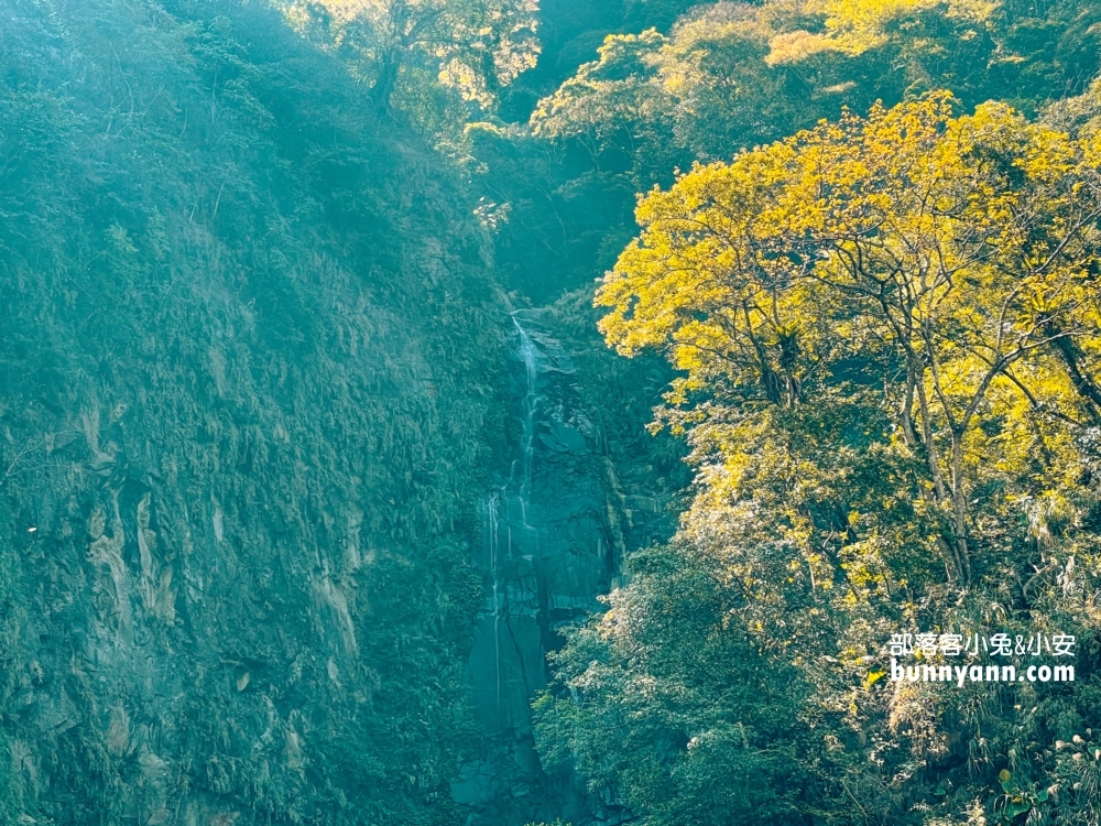 竹崎鄉【嘉義觀音瀑布】來回兩小時的私房山谷瀑布與吊橋