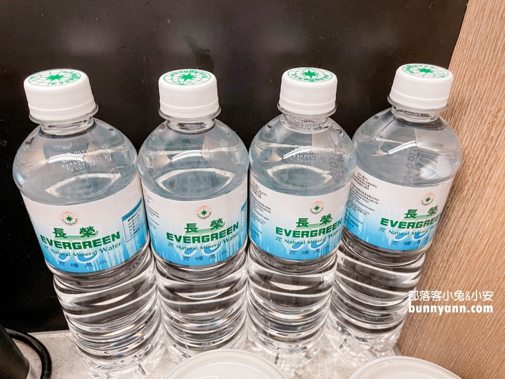 嘉義【長榮文苑酒店】住宿訂房優惠，徜徉無邊際泳池和親子空間