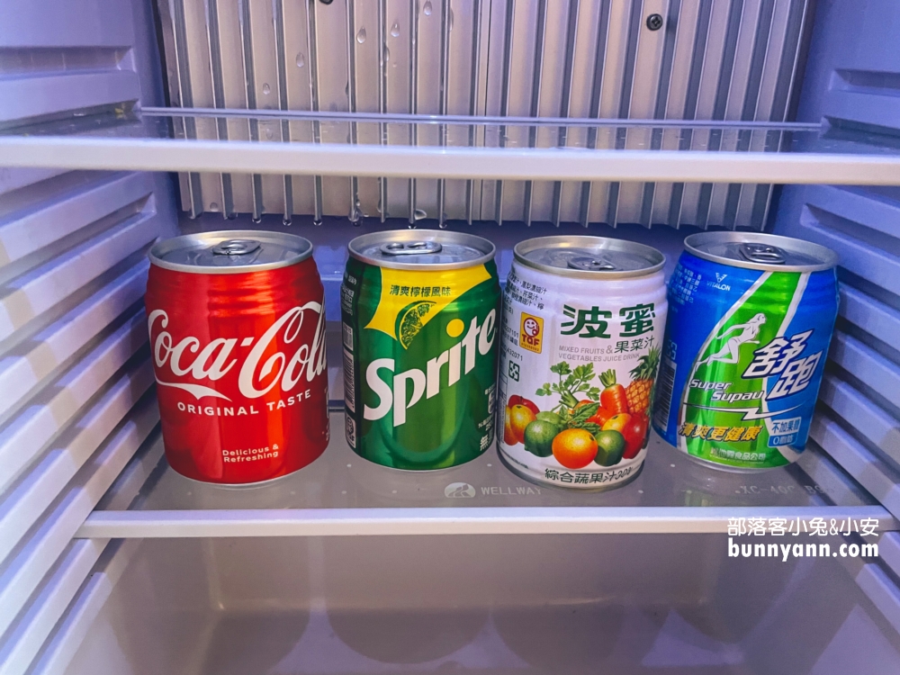 嘉義【長榮文苑酒店】住宿訂房優惠，徜徉無邊際泳池和親子空間