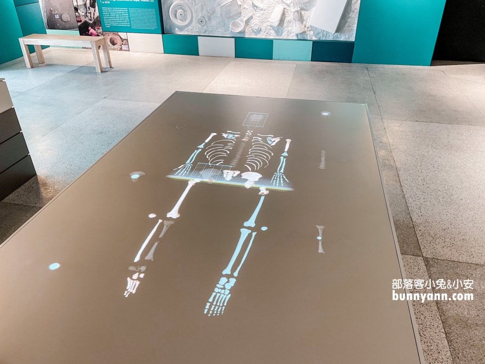 2024【花蓮考古博物館】來當考古學家挖化石體驗有夠好玩。