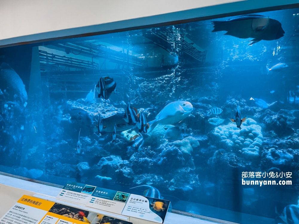 基隆【潮境智能海洋館】最強室內水族館，門票、優惠、交通全攻略