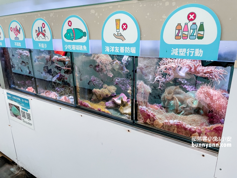 基隆【潮境智能海洋館】最強室內水族館，門票、優惠、交通全攻略