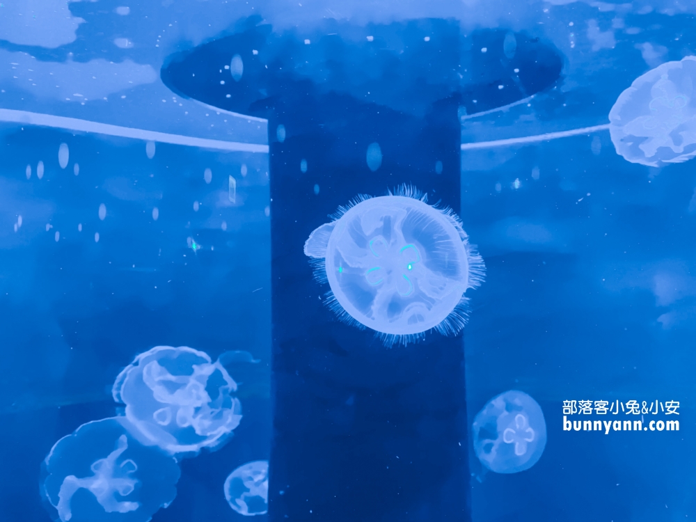 基隆【潮境智能海洋館】最強室內水族館，門票、優惠、交通全攻略