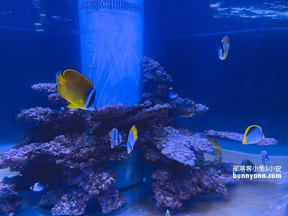 基隆【潮境智能海洋館】最強室內水族館，門票、優惠、交通全攻略
