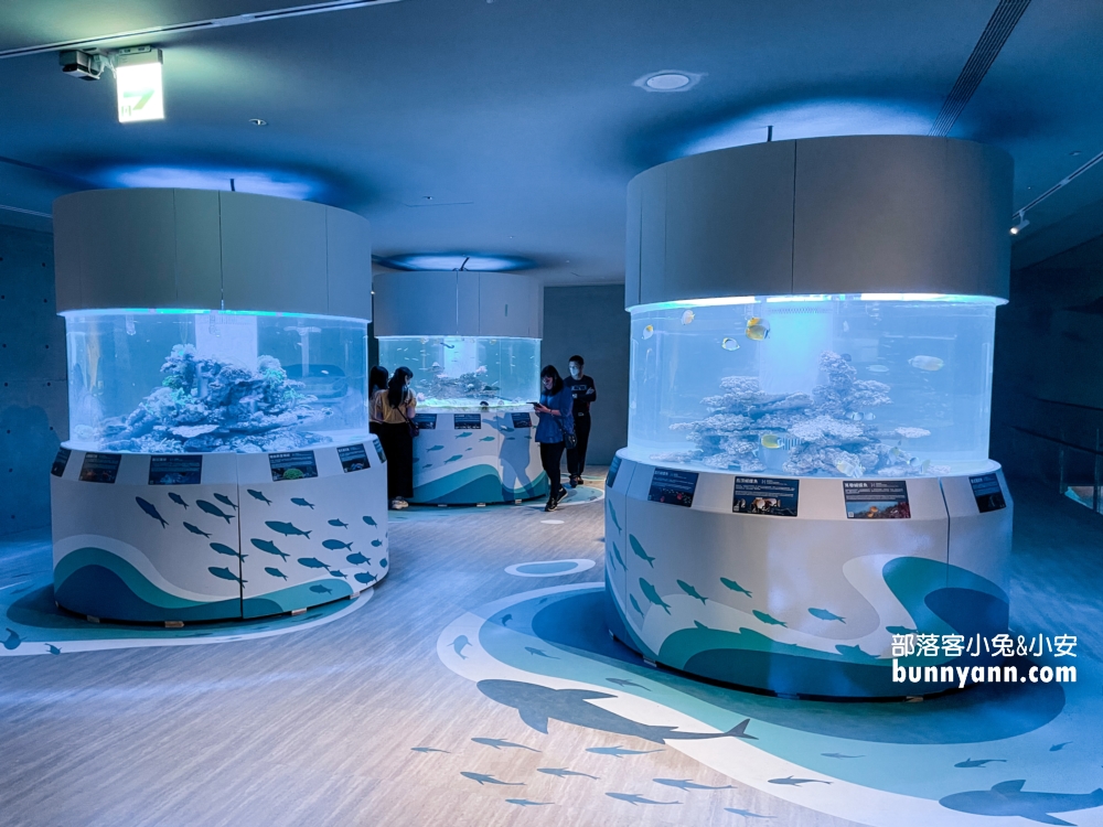 基隆【潮境智能海洋館】最強室內水族館，門票、優惠、交通全攻略