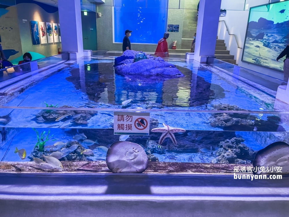 基隆【潮境智能海洋館】最強室內水族館，門票、優惠、交通全攻略