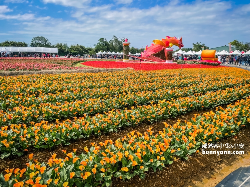 2022桃園彩色海芋季，美拍繽紛彩色海芋花海世界