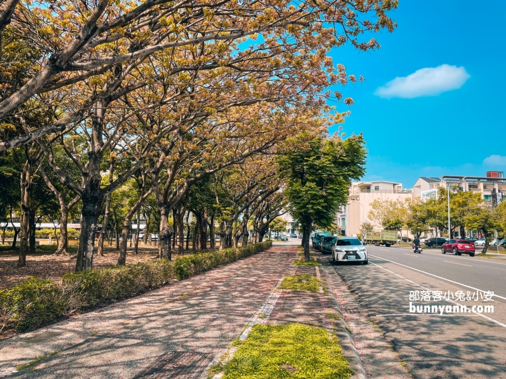 雲林斗六【膨鼠森林公園】橡果溜滑梯和噴泉廣場超好玩