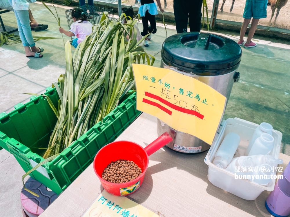 台中》威爾森的農場，門票50元來餵羊吃草加玩溜滑梯