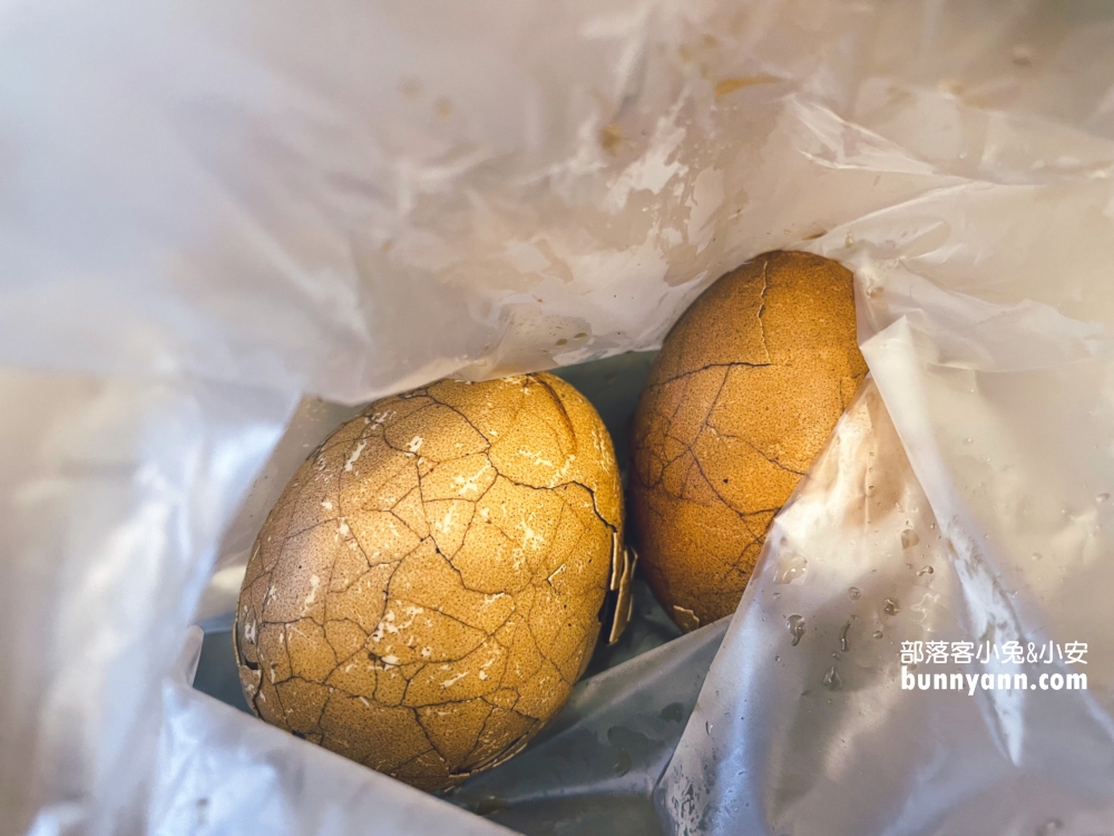 【豐年農場】南投埔里免門票採香菇，輕鬆玩樂又能帶回家！