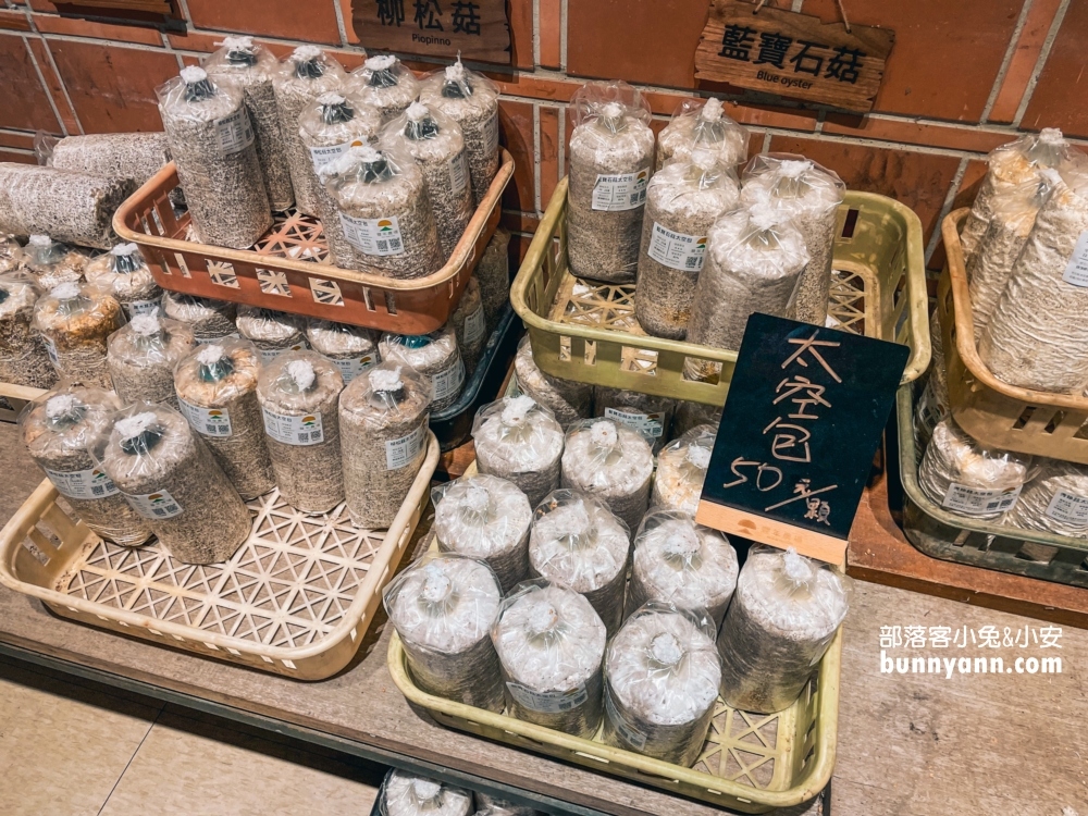 【豐年農場】南投埔里免門票採香菇，輕鬆玩樂又能帶回家！
