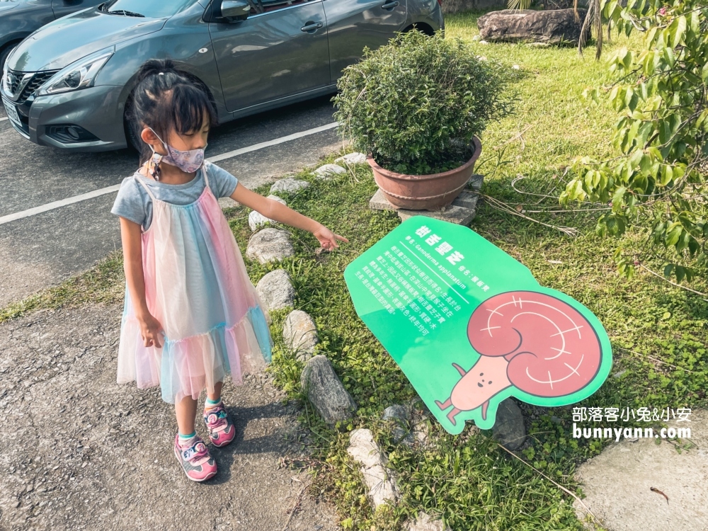【豐年農場】南投埔里免門票採香菇，輕鬆玩樂又能帶回家！