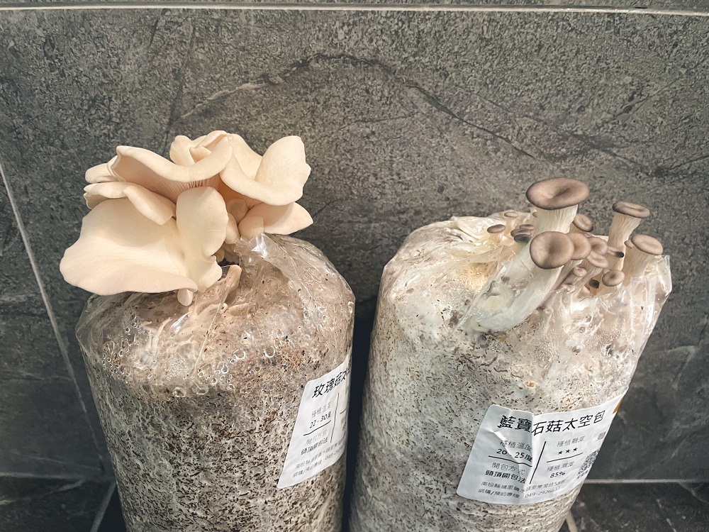 阿亮香菇園