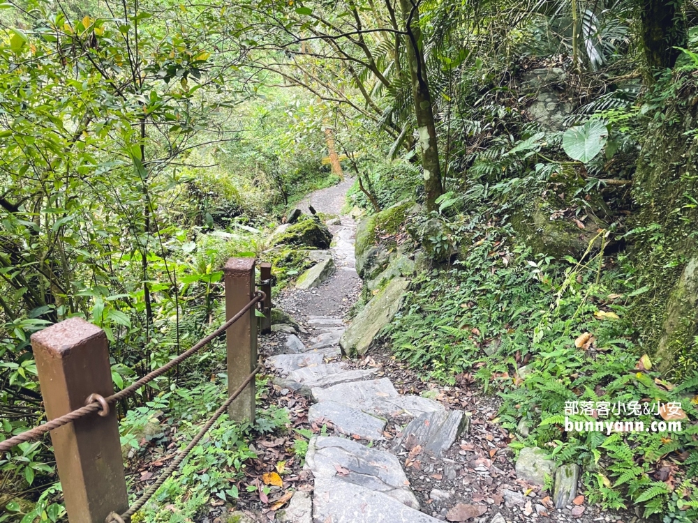 宜蘭【新寮瀑布步道】從入口處到瀑布來回只要40分鐘輕鬆走