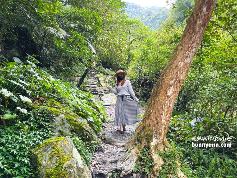 宜蘭【新寮瀑布步道】從入口處到瀑布來回只要40分鐘輕鬆走