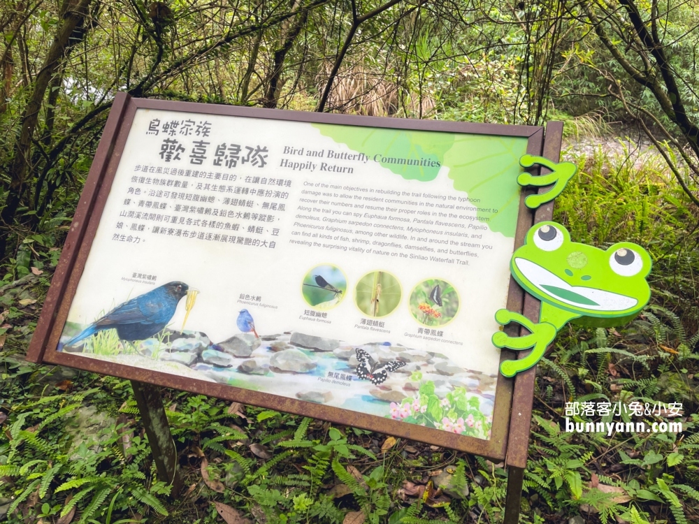 宜蘭【新寮瀑布步道】從入口處到瀑布來回只要40分鐘輕鬆走
