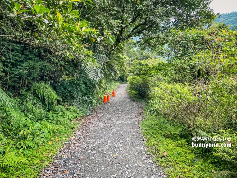 宜蘭【新寮瀑布步道】從入口處到瀑布來回只要40分鐘輕鬆走