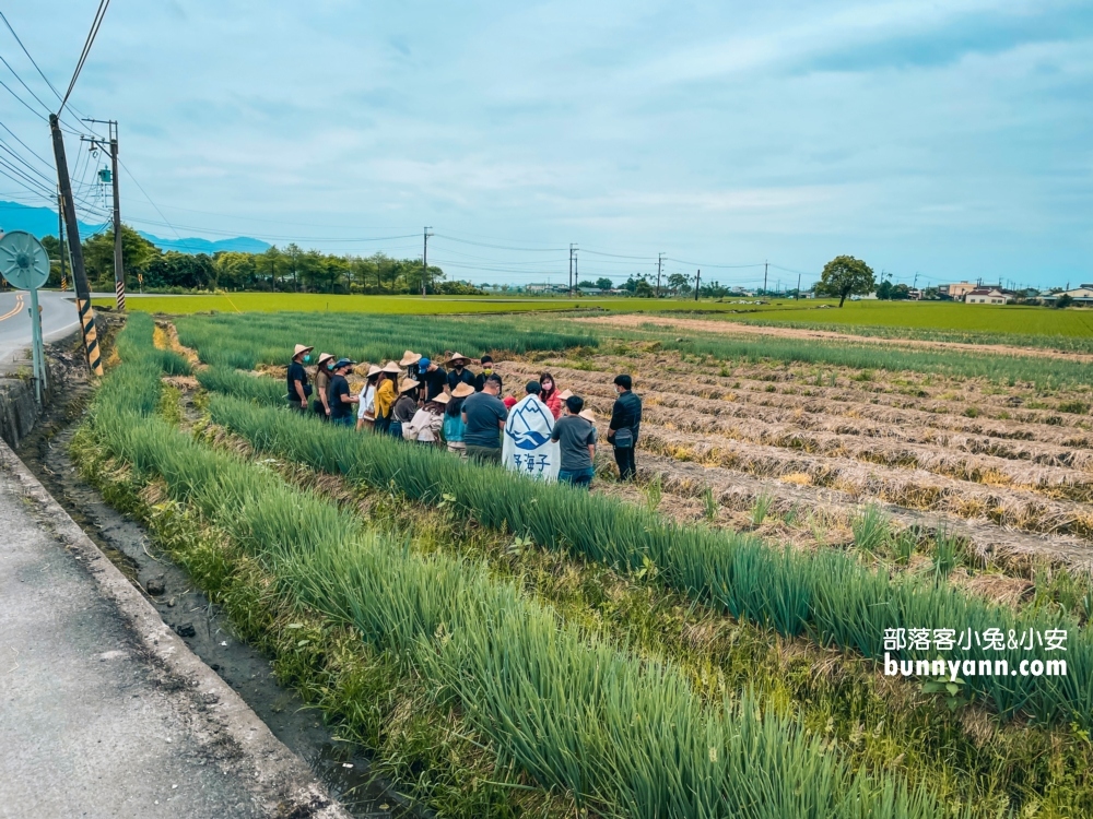宜蘭「星寶蔥體驗農場」自己拔蔥又能DIY蔥餅也太好玩