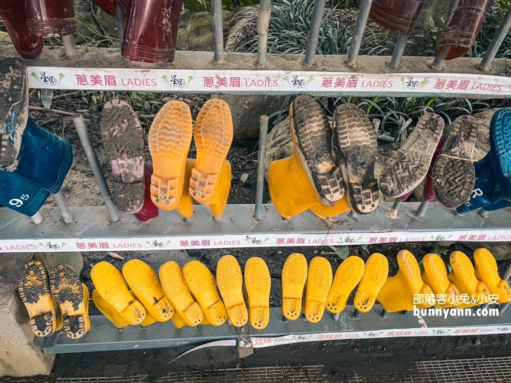 宜蘭「星寶蔥體驗農場」自己拔蔥又能DIY蔥餅也太好玩