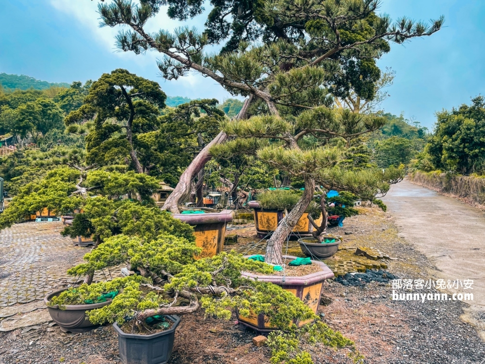 新北陽明山【松竹園】小村落內的高CP值土雞餐廳