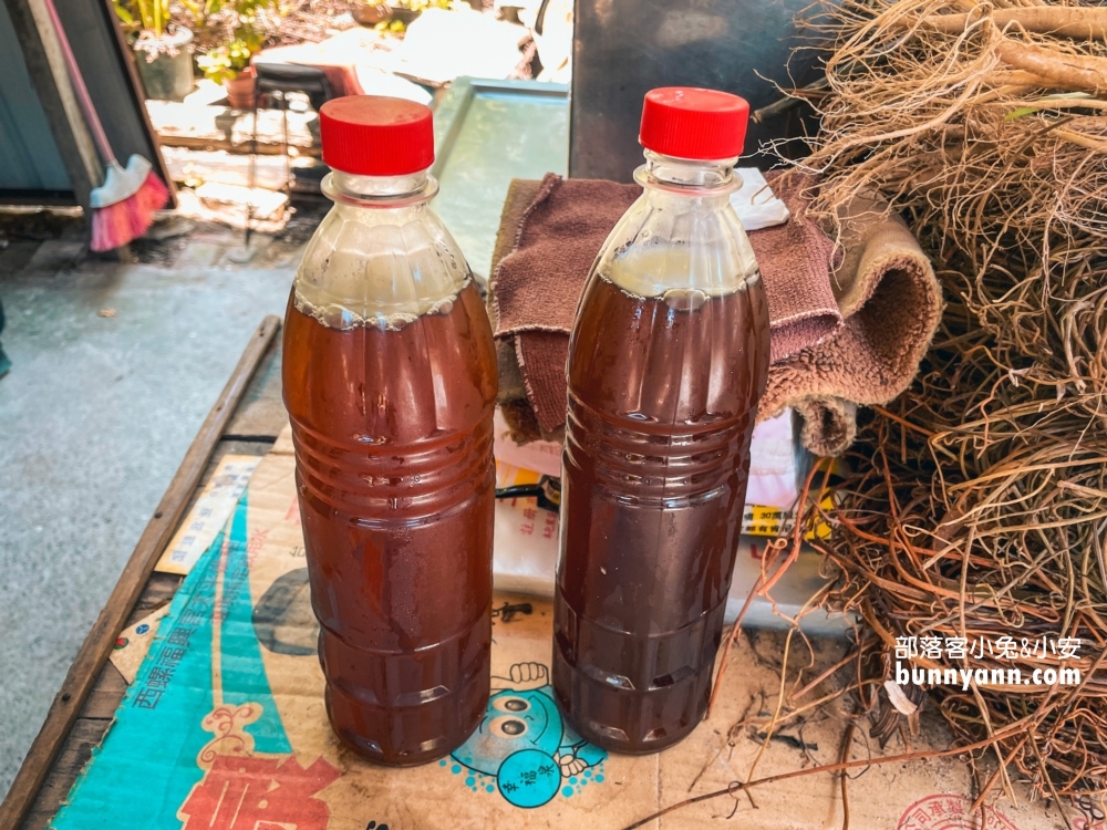 漁光島阿婆茶葉蛋，超浮誇茶葉蛋火鍋，青草茶好退火