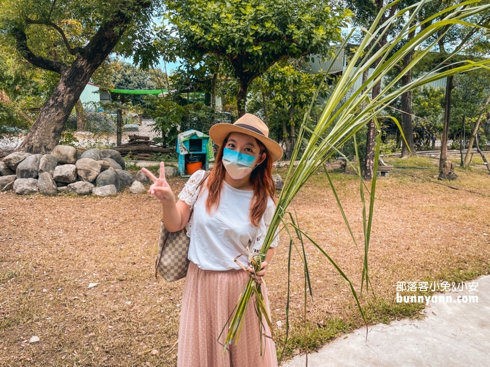 屏東囍羊羊牧場，免門票來餵羊吃草，好喝的羊乳在這