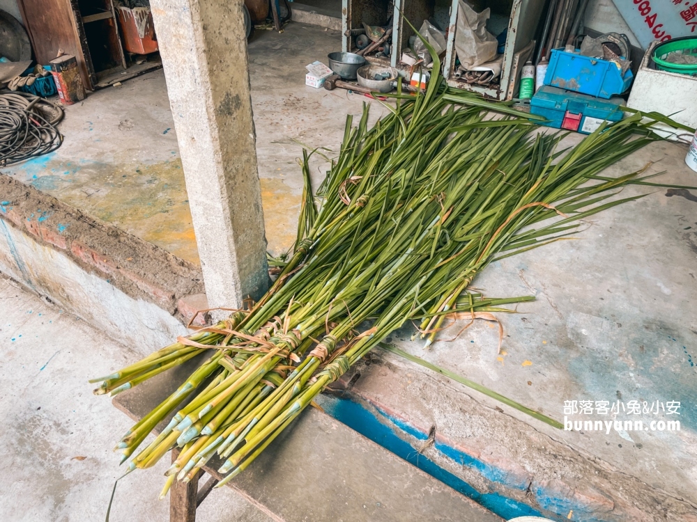 屏東囍羊羊牧場，免門票來餵羊吃草，好喝的羊乳在這