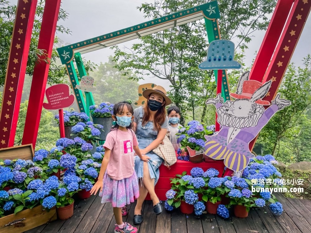 2024【新竹薰衣草森林】尖石薰衣草森林，園區環境、交通、花況攻略